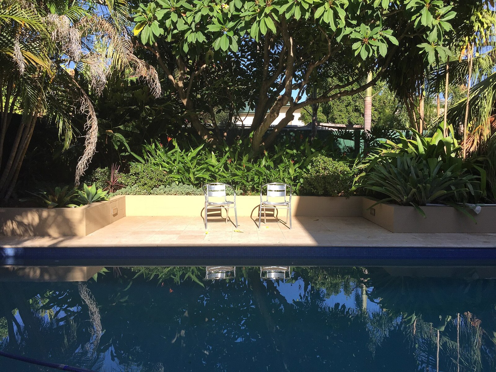 Piscine enterrée bordée d'une terrasse et d'un jardin tropical, eau calme et bleue