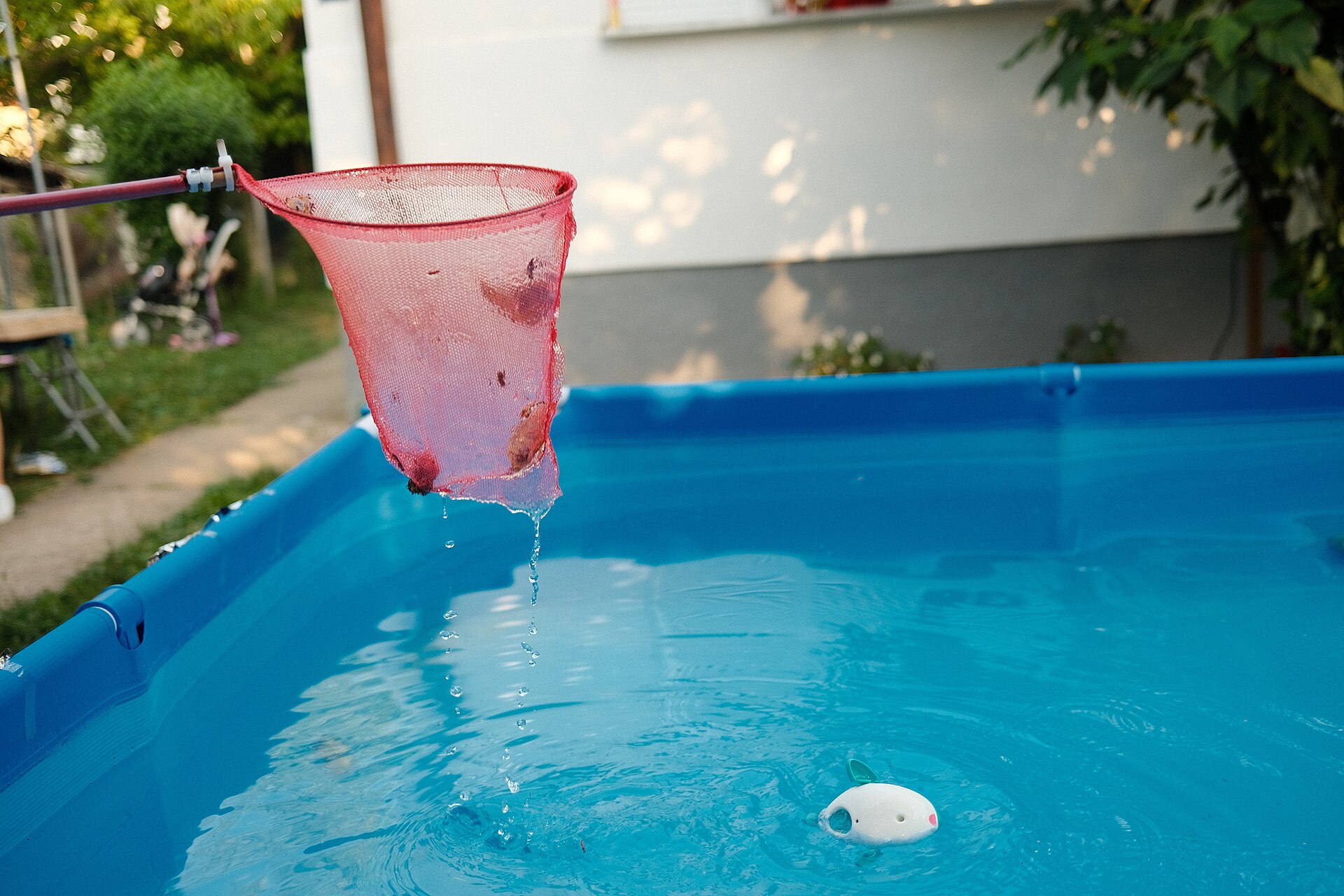 Épuisette rose tenue au-dessus d'une piscine hors-sol bleue